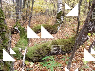 Inspirations Buildings