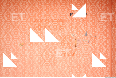 Wall Plaster Painted