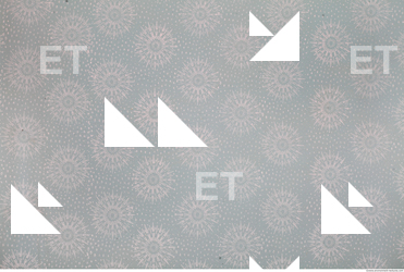 Wall Plaster Painted