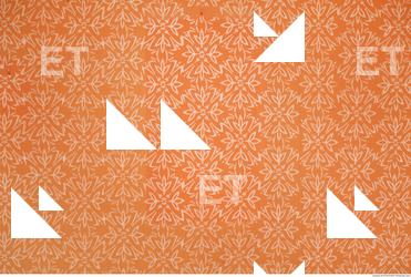 Wall Plaster Painted