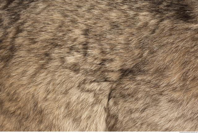 Fur