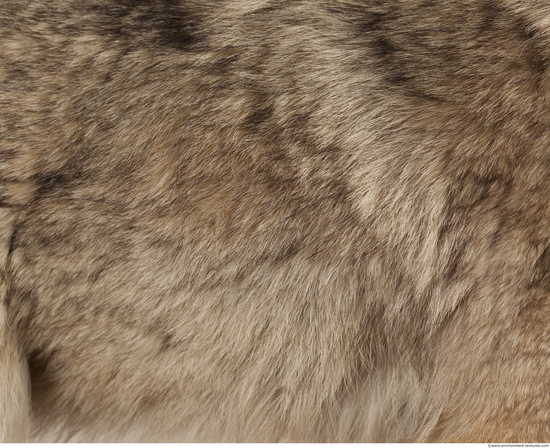 Fur