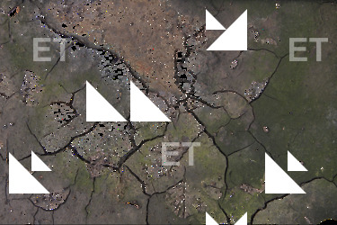 photo texture of cracked decal 0002