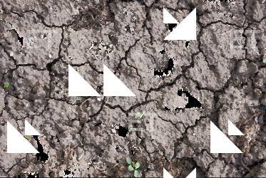 photo texture of cracked decal 0003