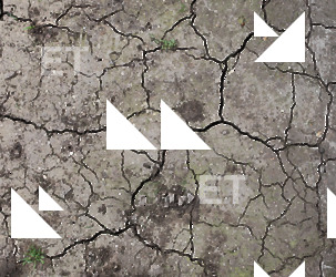 photo texture of cracked decal 0006