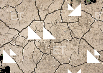 photo texture of cracked decal 0007