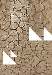 photo texture of cracked decal 0009
