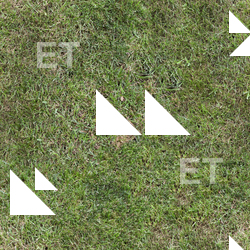 photo texture of grass seamless 0003