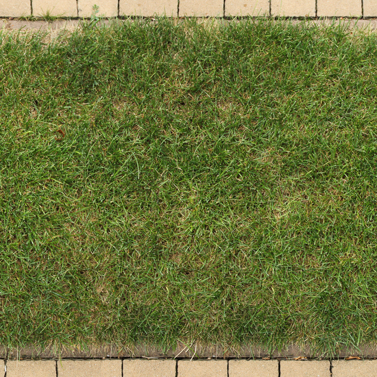 Seamless Grass