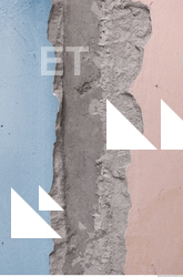 Walls Plaster Damaged