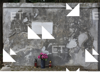 Walls Plaster Damaged