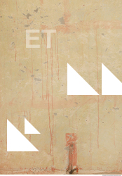 Wall Plaster Leaking