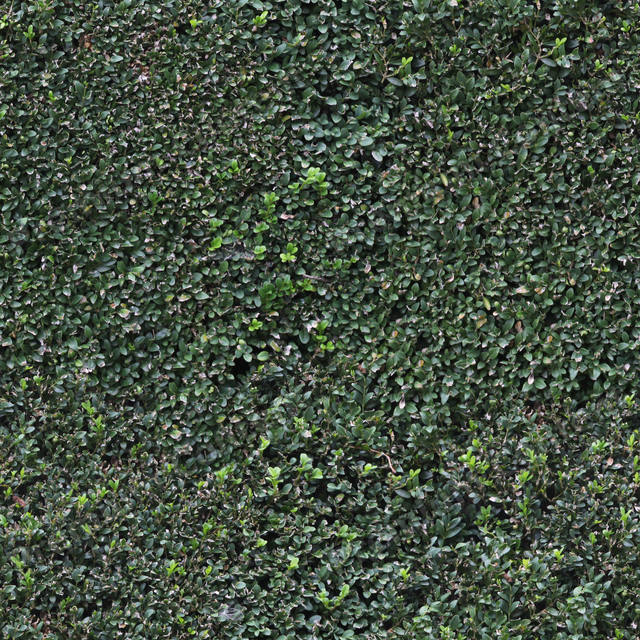 Seamless Hedge