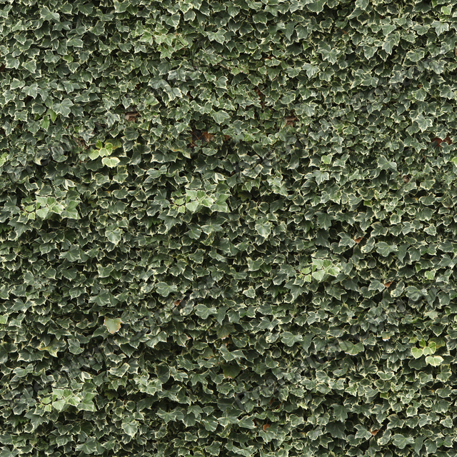 Seamless Hedge