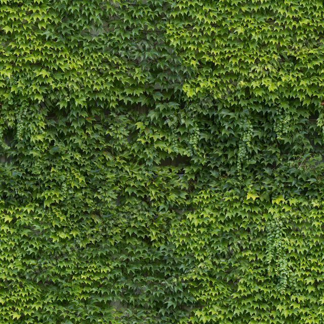 Seamless Hedge