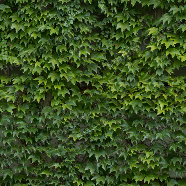 Seamless Hedge