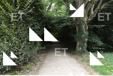 photo texture of background garden 0008