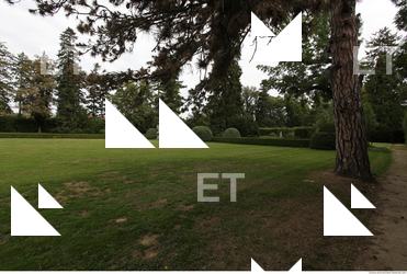 photo texture of background garden 0010