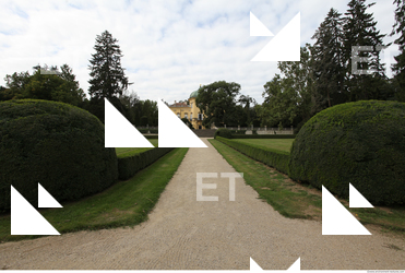 photo texture of background garden 0014