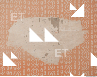 Walls Plaster Damaged