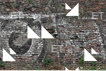 Wall Bricks Overgrown