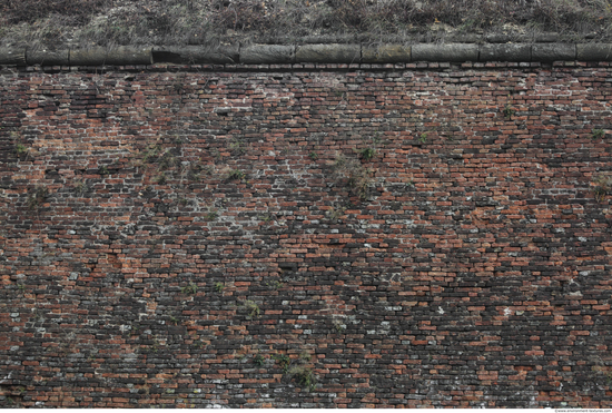 Wall Bricks Overgrown