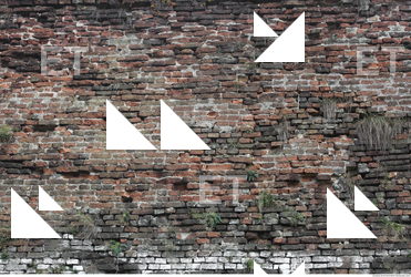 Wall Bricks Overgrown