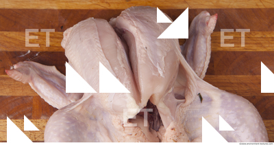 Chicken Meat