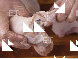 Chicken Meat