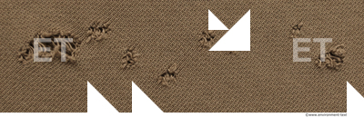 Damaged Fabric