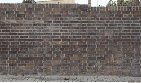 Wall Bricks Modern