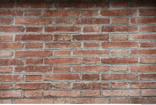 Wall Bricks Modern