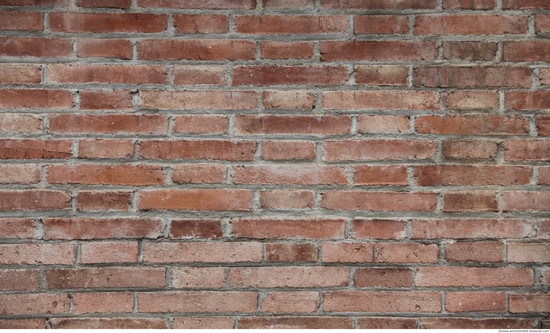 Wall Bricks Modern