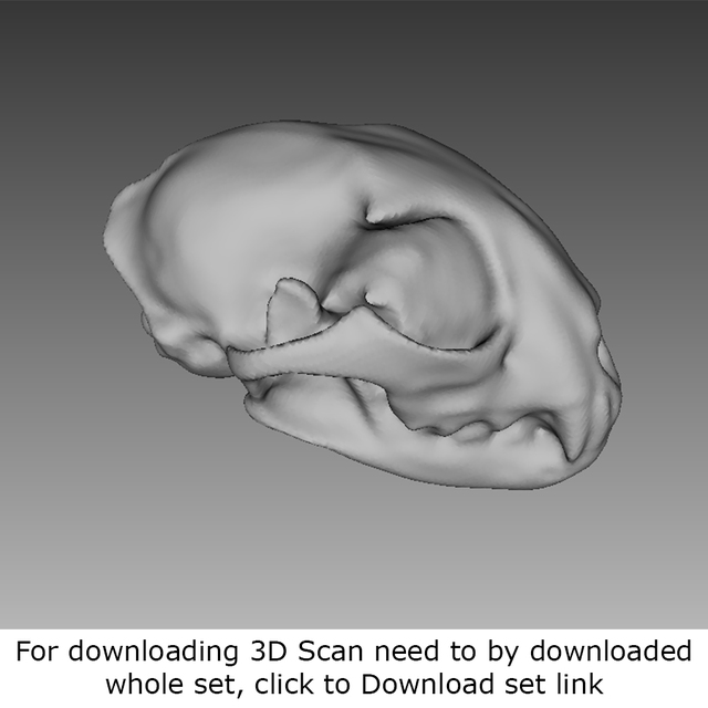 Mixed 3D Scan