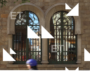 Ornate Windows