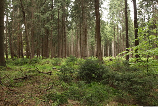 Background Forests