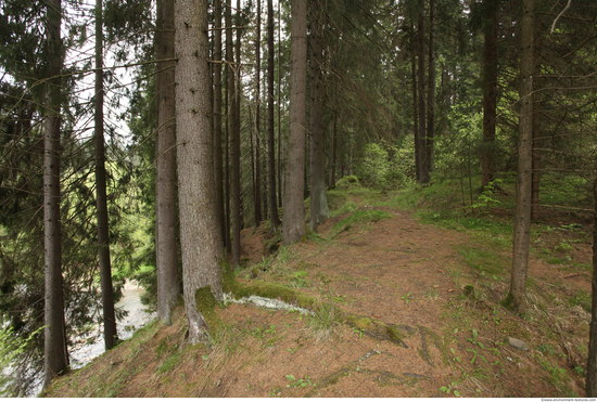 Background Forests