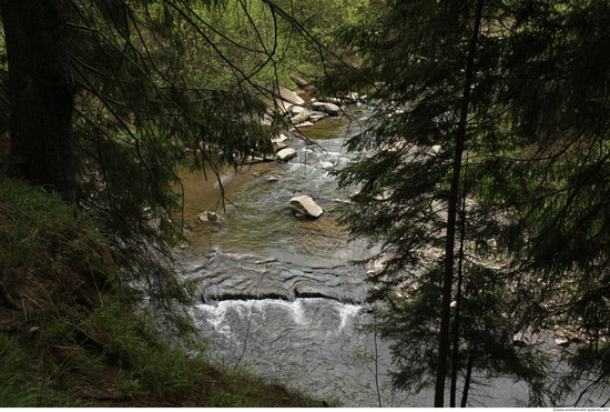 Background Forests