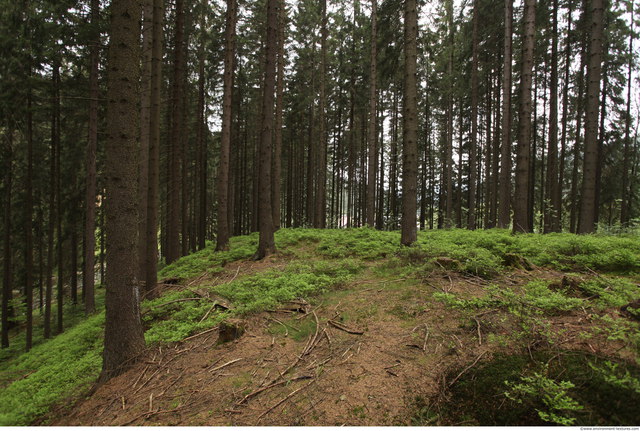 Background Forests