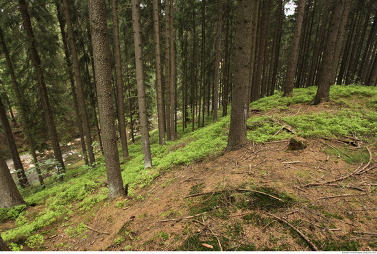 Background Forests