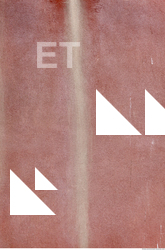 Wall Plaster Leaking