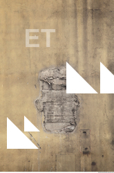 Walls Plaster Damaged