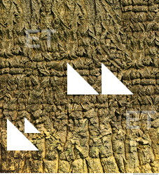 Tree Bark
