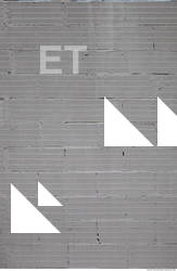 Wall Bricks Plastered