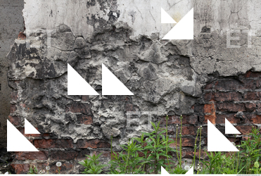 Wall Plaster Leaking