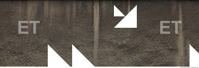 Wall Plaster Leaking