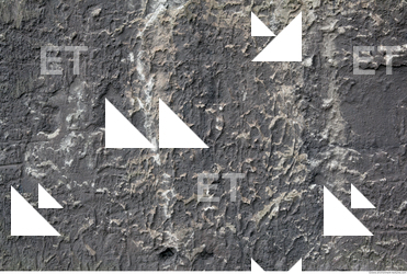 Wall Plaster Leaking