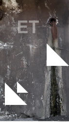 Wall Plaster Leaking