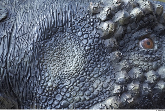 Dinosaur Skin