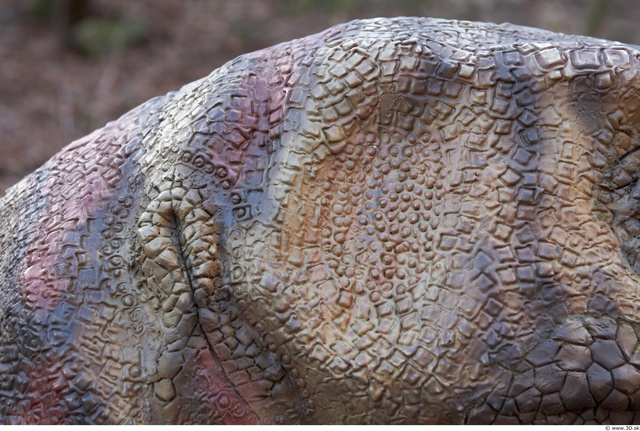 Dinosaur Skin